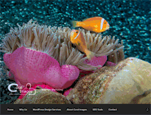 Tablet Screenshot of coralimages.com